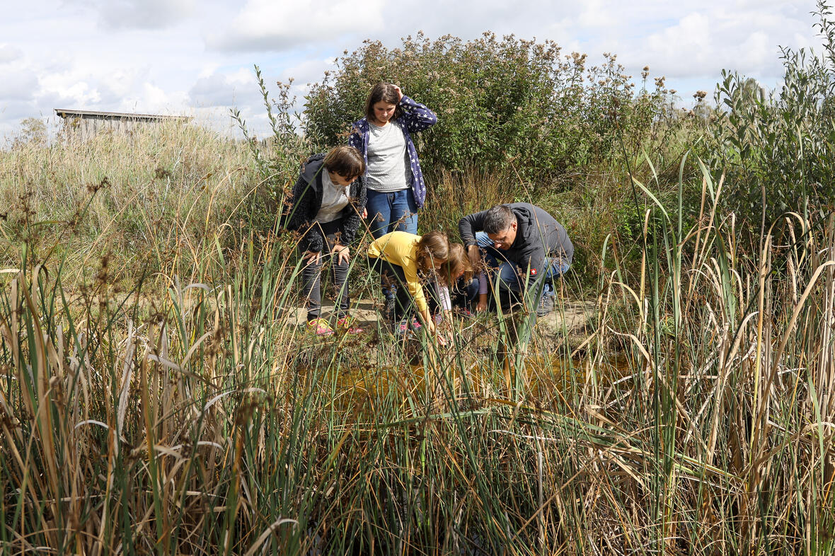 abb-44b-ferienprogramm