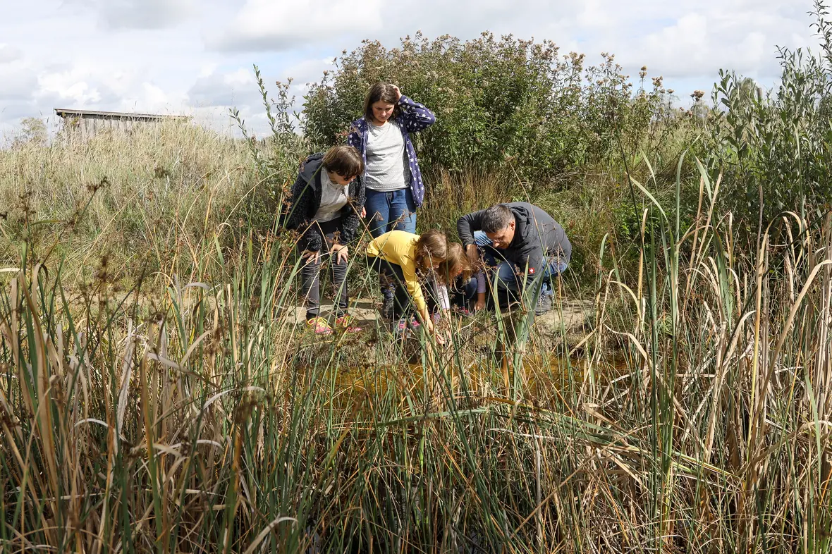 abb-44b-ferienprogramm