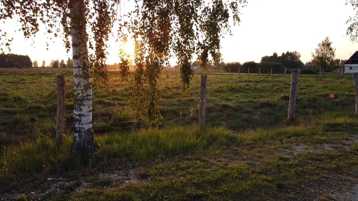 vlcsnap-2023-03-23-10h53m57s257