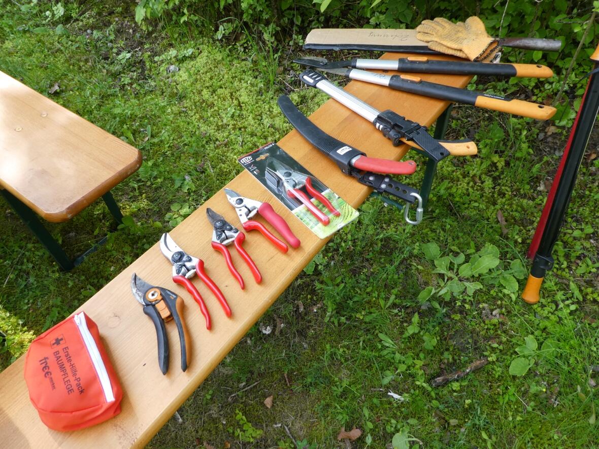 02-28_obstbaumschnitt-2