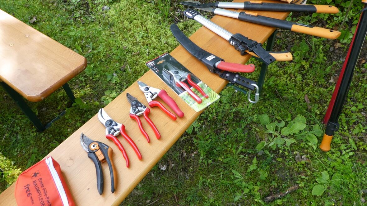 02-28_obstbaumschnitt-2