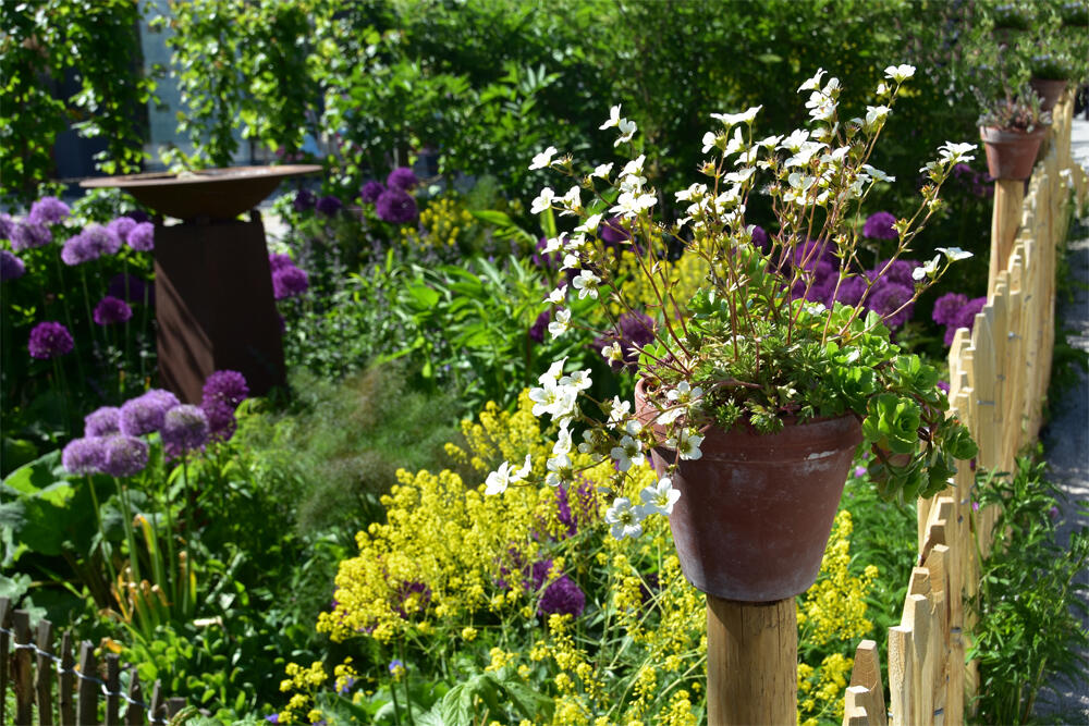 03-17_bild-naturgarten-1