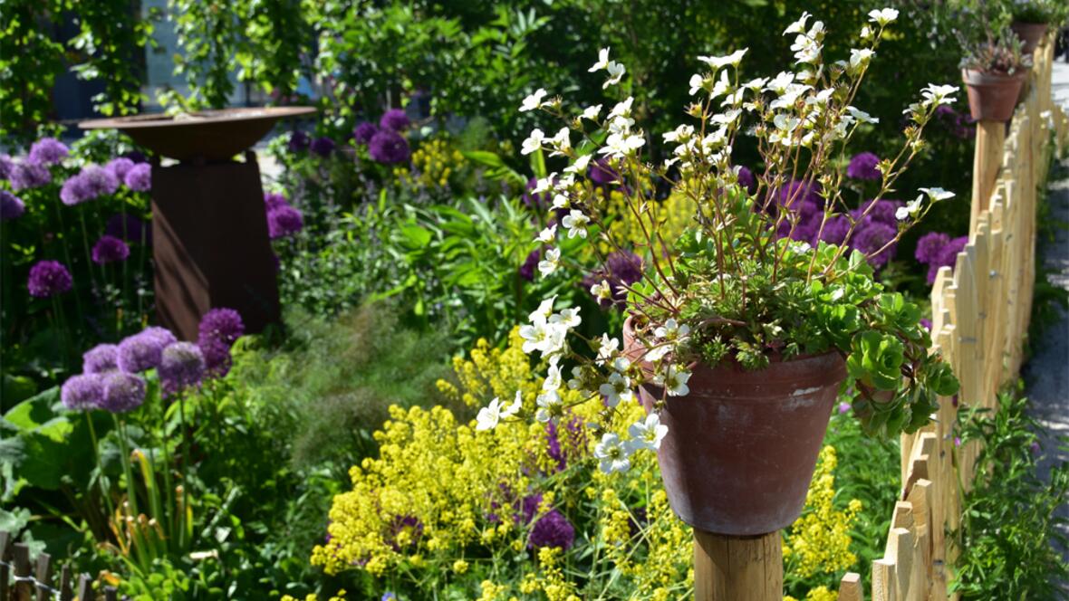 03-17_bild-naturgarten-1