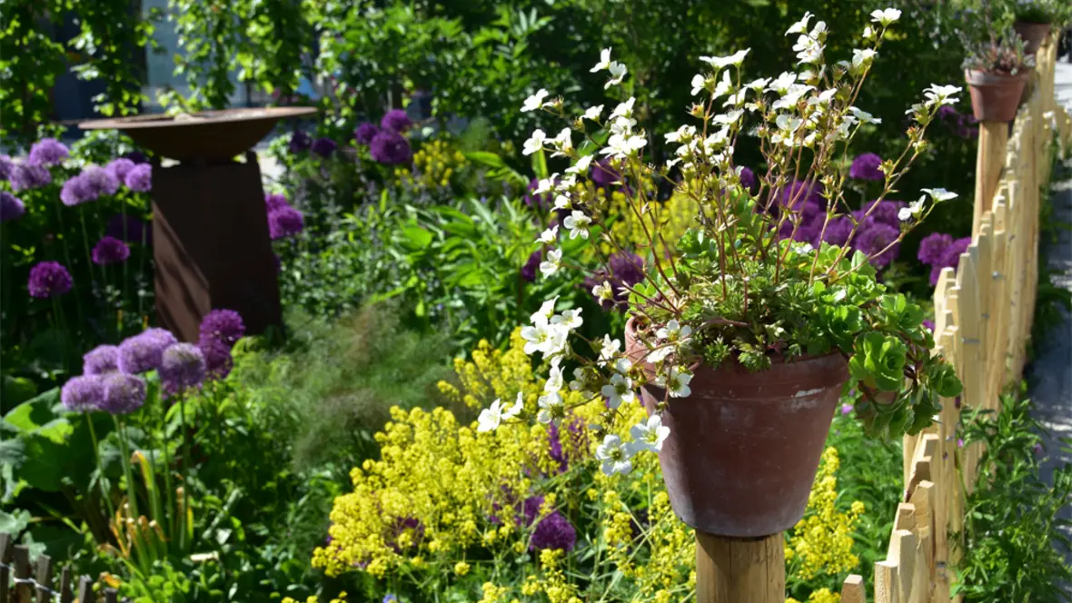 03-17_bild-naturgarten-1