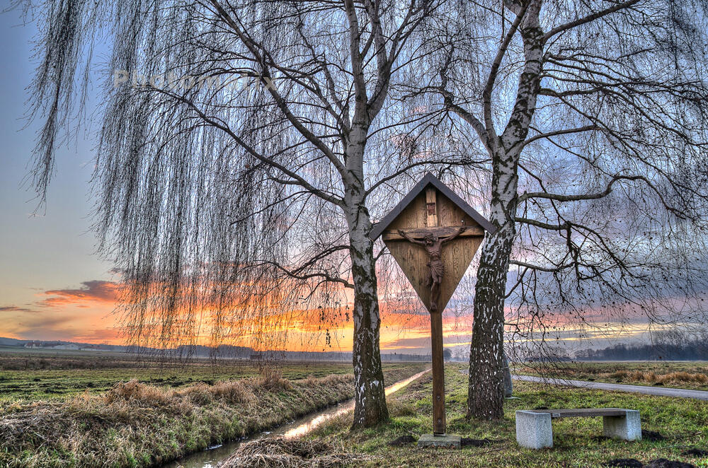 10-06_vortrag-baeume