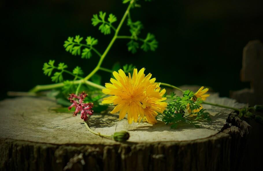 04-12_baumblattkueche