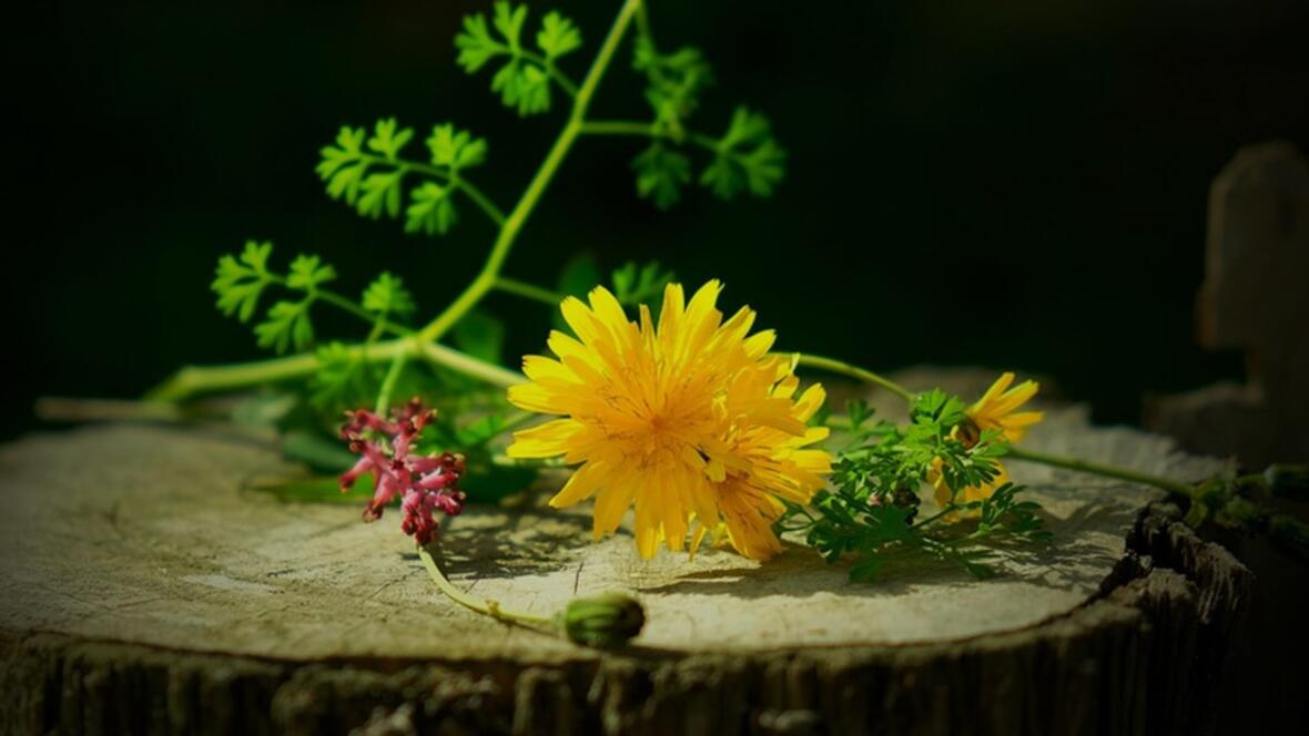 04-12_baumblattkueche