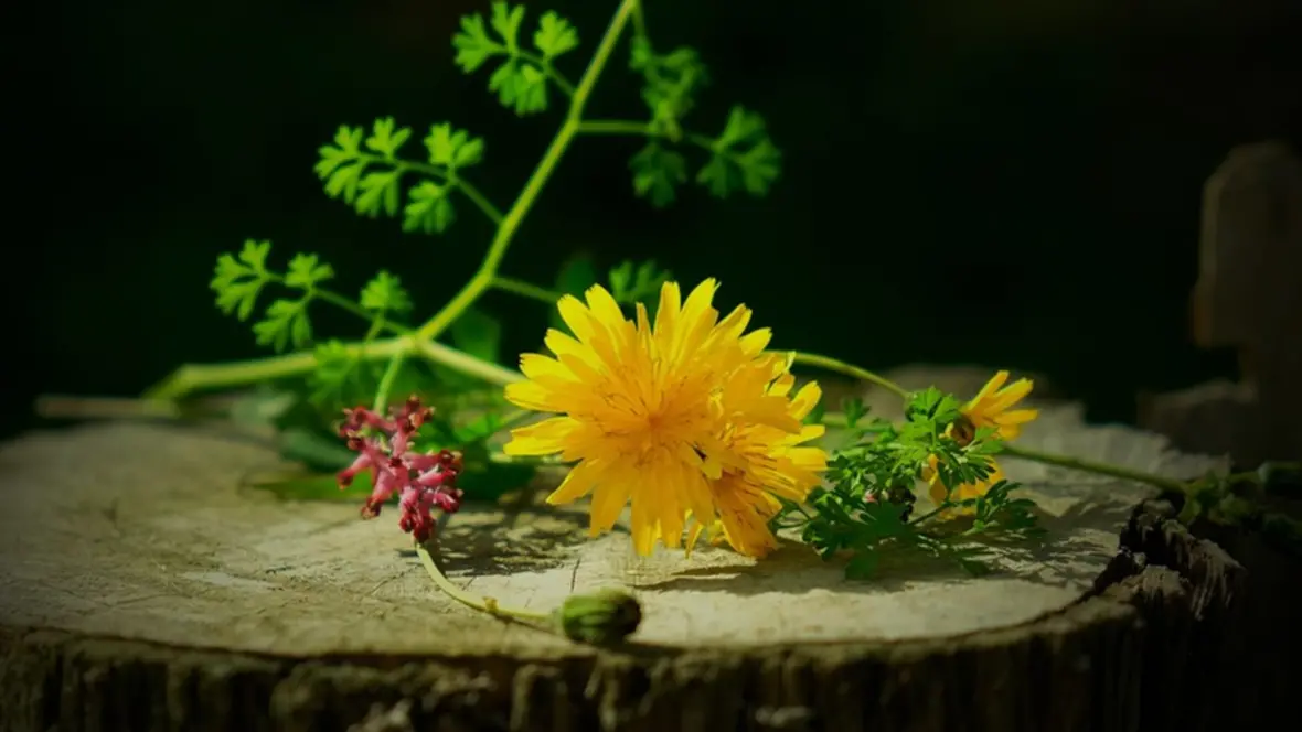 04-12_baumblattkueche